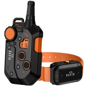 PACK COLLIER DE DRESSAGE 900M - 1 CHIEN