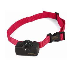 COLLIER ANTI ABOIEMENT PETSAFE
