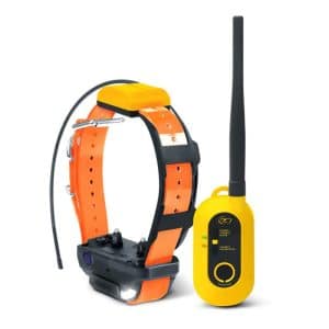 Pack Repérage et Dressage pour chien DOGTRA PATHFINDER V2